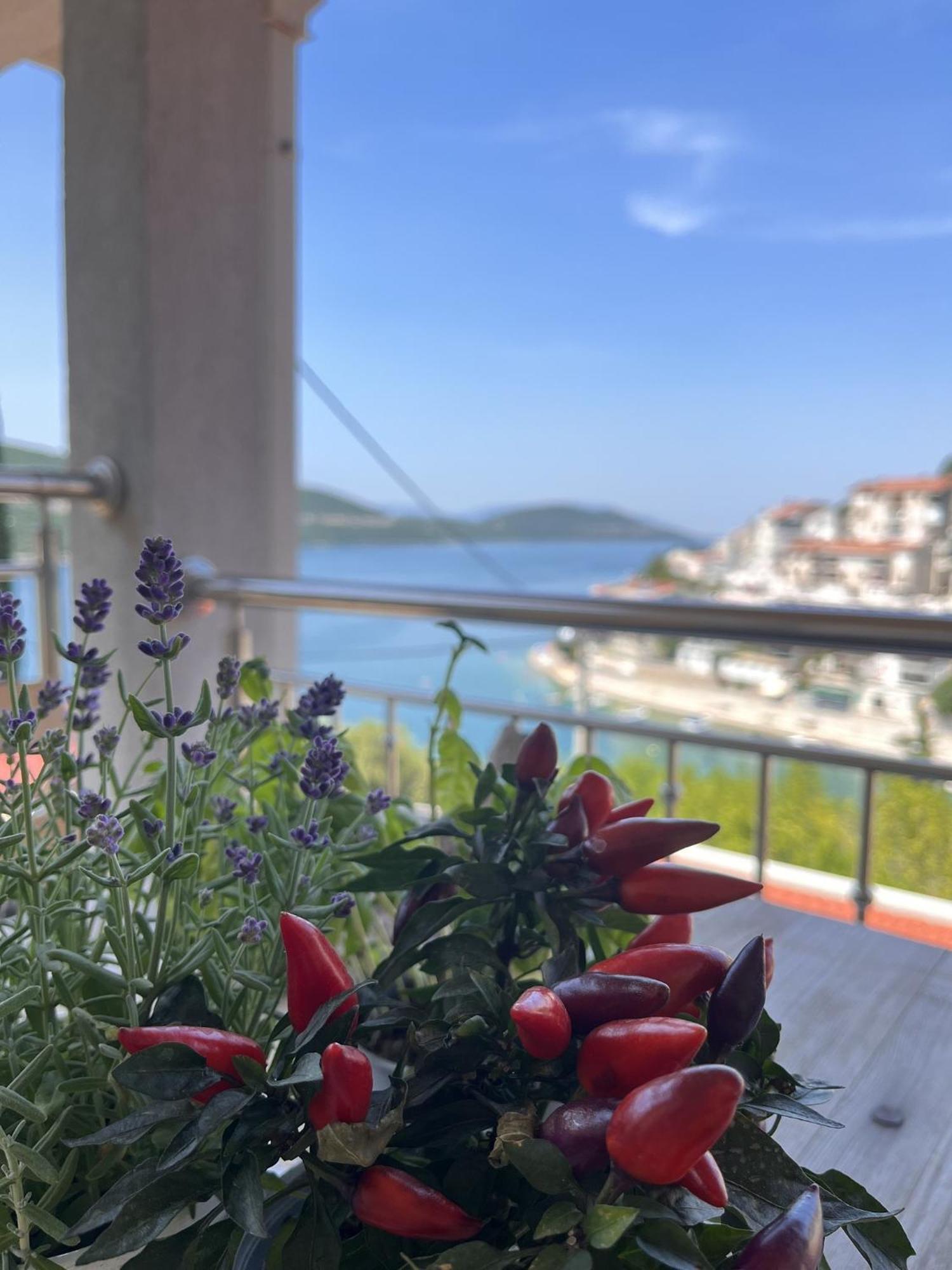 Villa Ljiljana Neum Oda fotoğraf